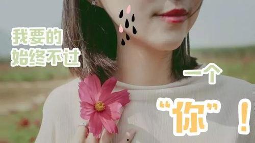 娱乐吃瓜酱有趣的灵魂